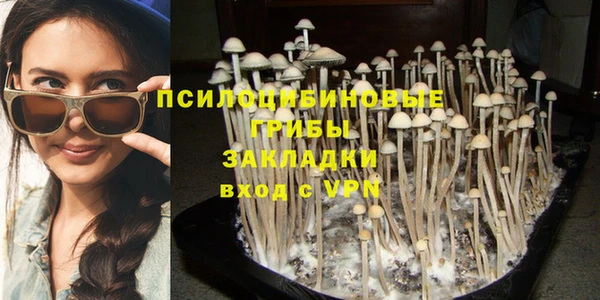 кокс Абинск