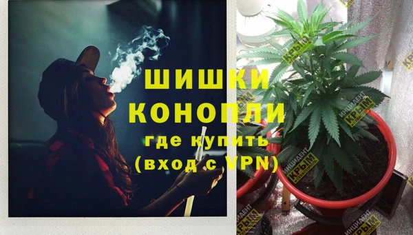 jwh Алзамай