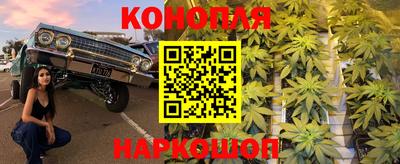 гашик Обнинск