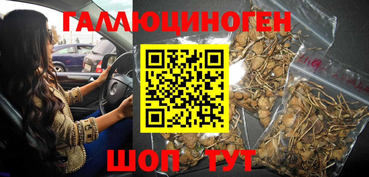 Галлюциногенные грибы Cubensis Южноуральск